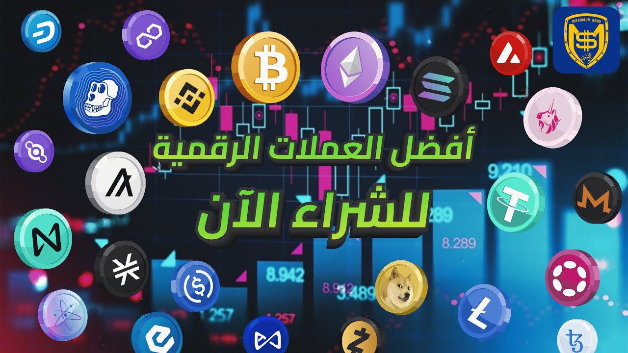 أفضل العملات الرقمية للشراء الآن 🔥 فرص قبل عام 2025 🚀 The Best Crypto